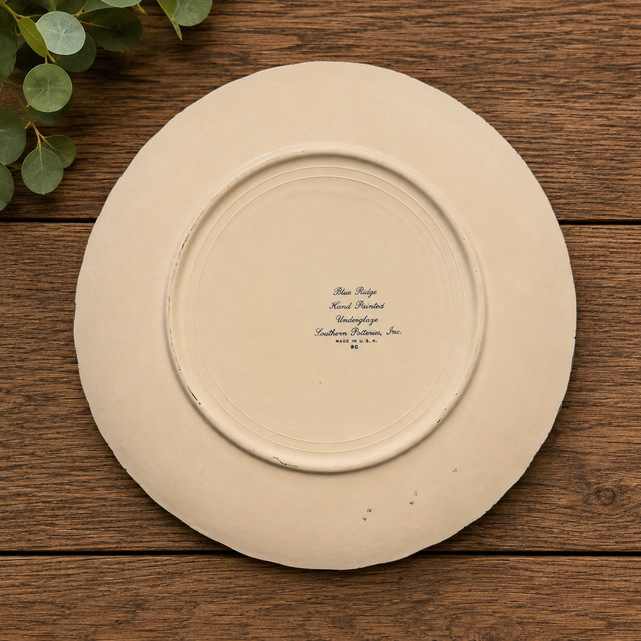Vintage Blue Ridge Southern Potteries Apple Trio Dinner Plate Hand Painted 10.5"