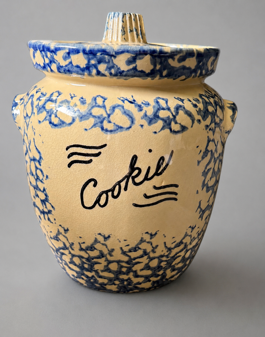 Vintage Robinson Ransbottom Blue Spongeware "Cookie" Jar — RRP Co.