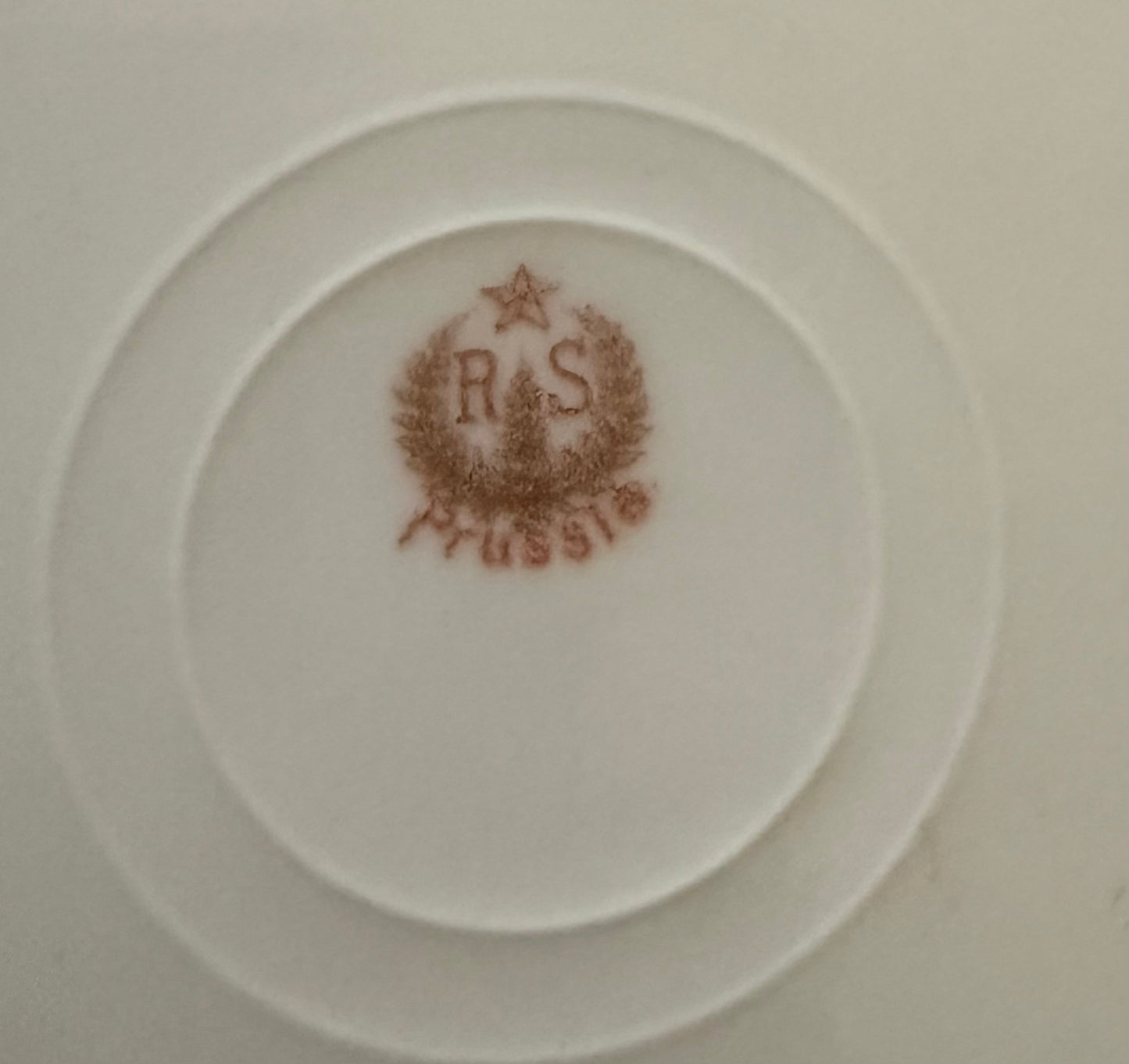 Antique R.S. Prussia Plate | Reinhold Schlegelmilch Germany | Hand Painted Floral Gold Gilt