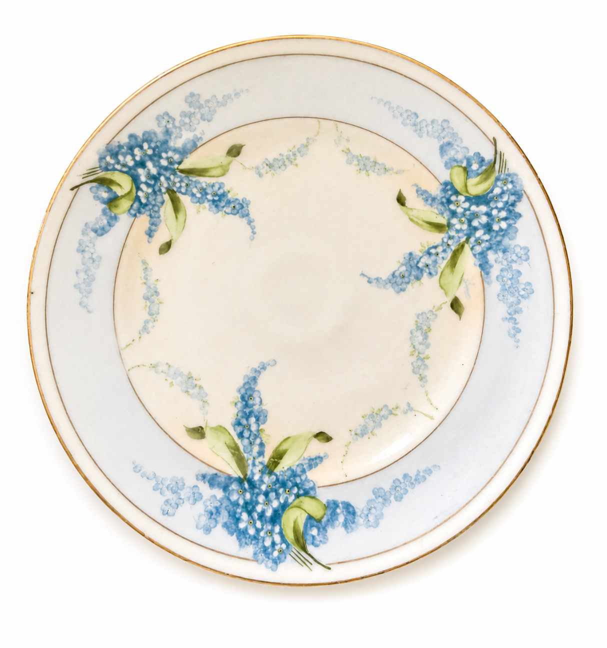 Antique Royal Rudolstadt Prussia Hand Painted Plate Blue Floral Gold Trim Germany